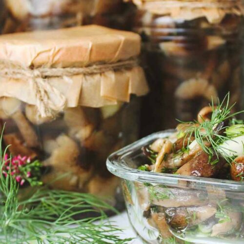 Кулинарный рецепт: Маринованные опята на зиму